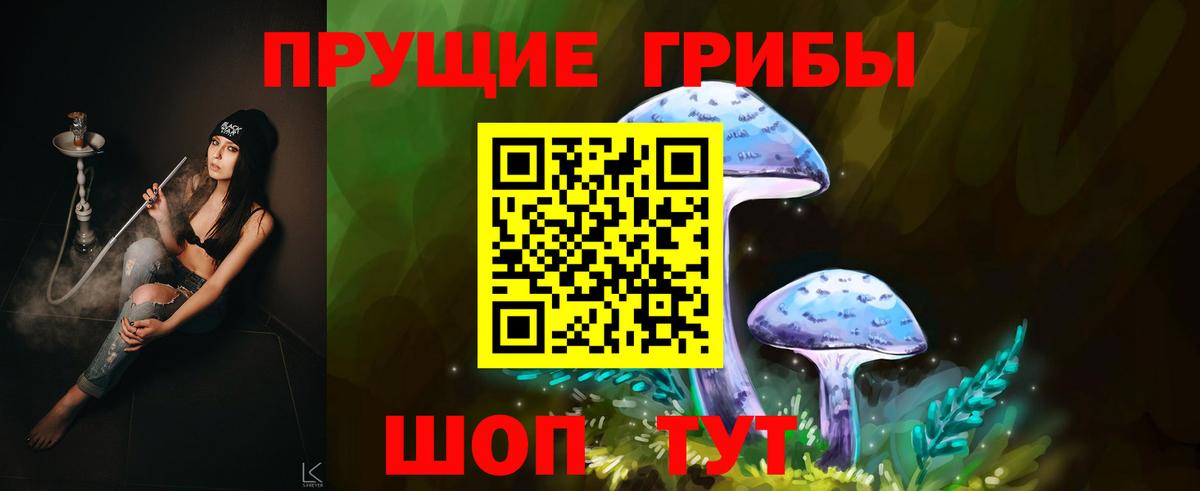 Галлюциногенные грибы Cubensis  Вход с VPN  Миллерово  Псилоцибиновые грибы Psilocybine cubensis 